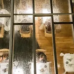 Seehotel Ketsch