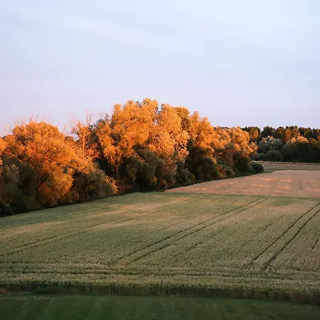 Seehotel Ketsch Schwetzingen